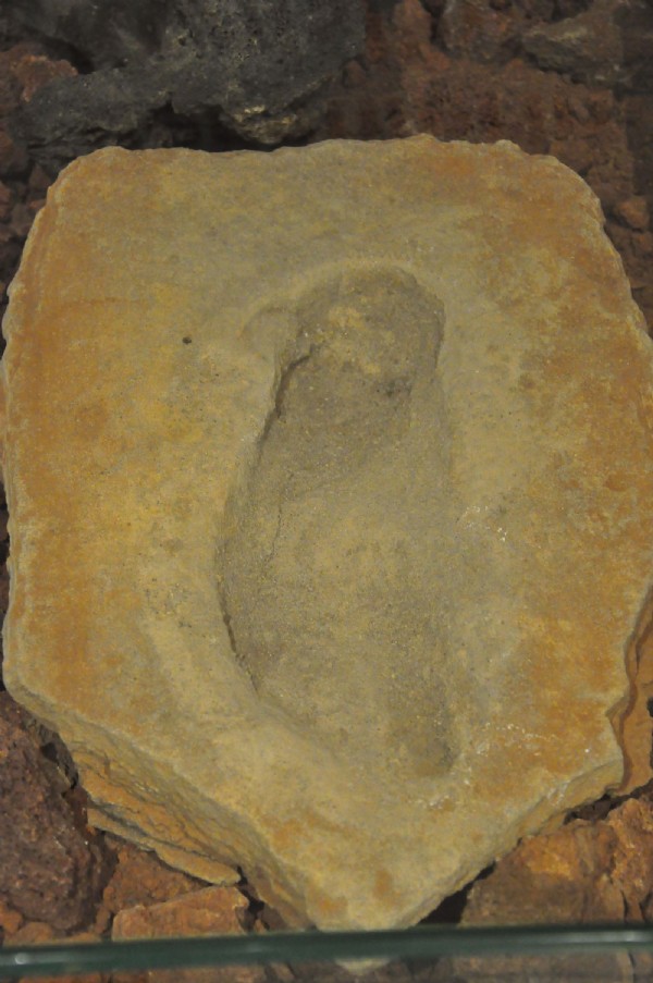 4 bin 500 yıllık... Baraj yapımında keşfedildi!